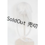 画像: 8-9inch/ウィッグ/インチ　BJD　MJD　ドール用 A-26-02-11-098-NY-ZA