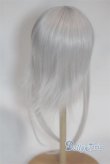 画像2: 8-9inch/ウィッグ/インチ　BJD　MJD　ドール用 A-26-02-11-098-NY-ZA (2)