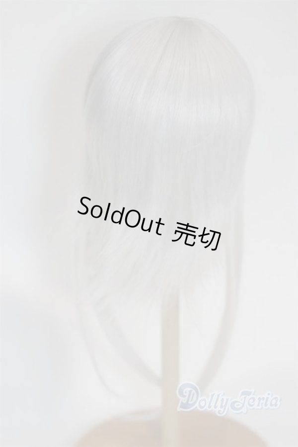 画像2: 8-9inch/ウィッグ/インチ　BJD　MJD　ドール用 A-26-02-11-098-NY-ZA (2)