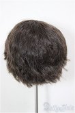 画像2: 8-9inch/ウィッグ A-26-02-11-129-NY-ZA (2)