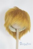 画像1: 8-9inch/ウィッグ/インチ　BJD　MJD　ドール用 A-26-02-11-099-NY-ZA (1)