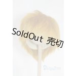 画像: 8-9inch/ウィッグ/インチ　BJD　MJD　ドール用 A-26-02-11-099-NY-ZA