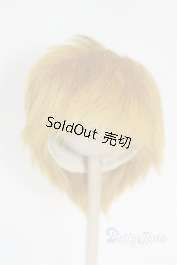 画像1: 8-9inch/ウィッグ/インチ　BJD　MJD　ドール用 A-26-02-11-099-NY-ZA (1)