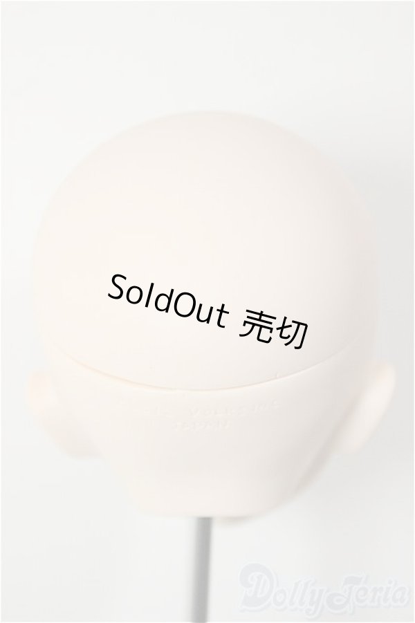 画像4: DD/DDH-09:カスタムヘッド/BJD　球体関節人形 A-26-01-28-227-KD-ZA (4)