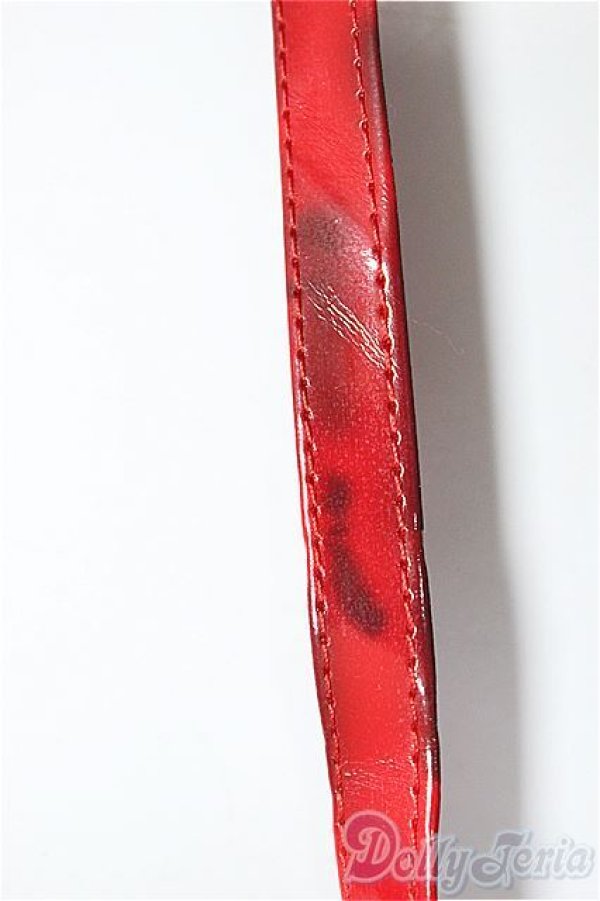 画像3: SDGrG/OF:衣装セット A-26-01-28-194-NY-ZA (3)