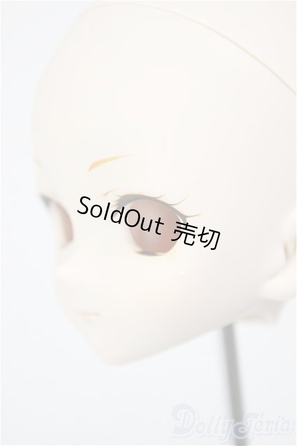 画像3: DD/DDH-10/カスタムヘッド A-26-01-28-176-NY-ZA (3)