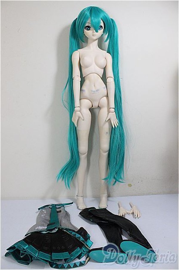 画像8: DD/初音ミク A-26-02-04-150-TN-ZA (8)
