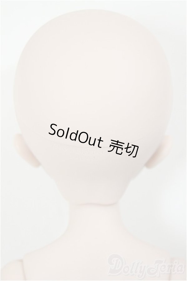 画像6: MDDもちあし/ドリームチョイス:DC-H-30/BJD　球体関節人形 A-26-01-28-201-WT-ZA (6)