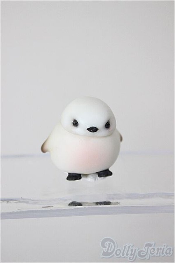 画像1: cocoriang/OF:小物 A-26-02-04-120-WT-ZA (1)