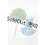 画像: COCORIANG/OF:衣装 A-26-02-04-123-WT-ZA