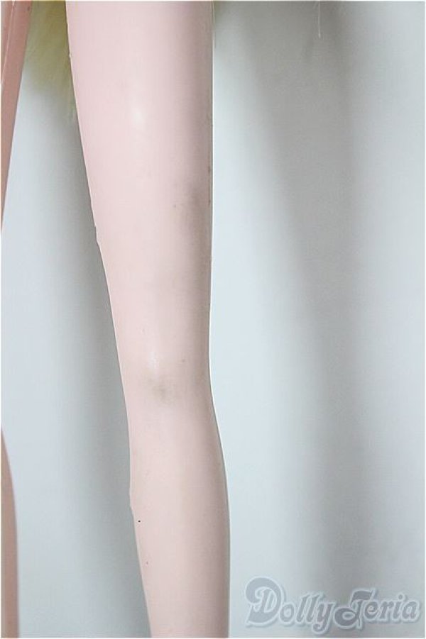 画像4: ジェニー/フォトジェニックジェニー A-26-02-04-148-WT-ZA (4)