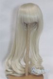 画像1: 9inch/ウィッグ/インチ　BJD　MJD　ドール用 A-26-02-11-022-NY-ZA (1)