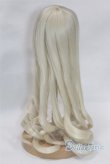 画像2: 9inch/ウィッグ/インチ　BJD　MJD　ドール用 A-26-02-11-022-NY-ZA (2)