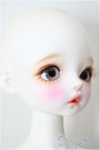 画像3: Chicabi/Minuet/BJD　球体関節人形 A-26-02-04-183-NY-ZA (3)