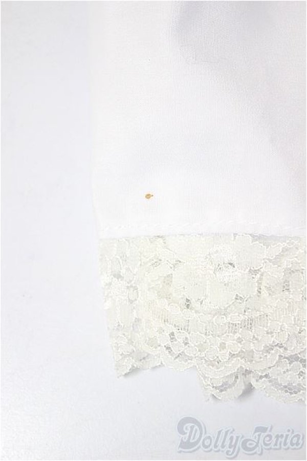 画像3: DD/OF:スカート/0 A-26-02-04-276-NY-ZA (3)