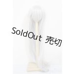 画像: 9-10inch/ウィッグ/インチ　BJD　MJD　ドール用 A-26-02-04-207-NY-ZA