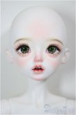 画像1: Huajing Doll/1/4 艾娃/BJD　球体関節人形 A-26-02-04-320-NY-ZA (1)