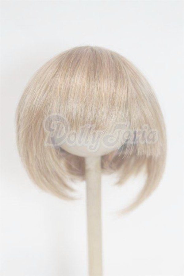 画像1: 8-9inch/ウィッグ/インチ　BJD　MJD　ドール用 A-26-02-18-072-NY-ZA (1)