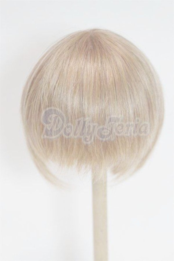 画像2: 8-9inch/ウィッグ/インチ　BJD　MJD　ドール用 A-26-02-18-072-NY-ZA (2)