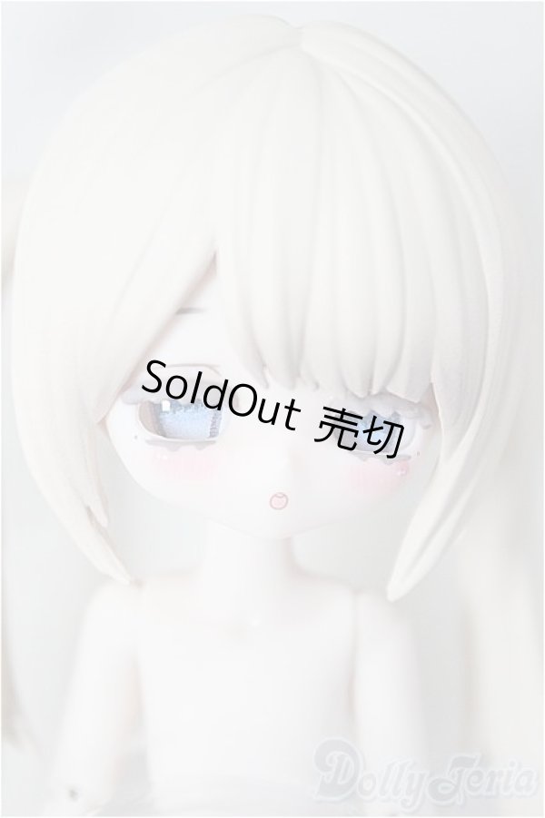 画像1: 無症状/霜/ A-26-02-04-323-NY-ZA (1)