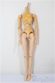 画像1: 約27ｃｍサイズ/女性ボディ/ A-26-02-04-319-NY-ZA (1)