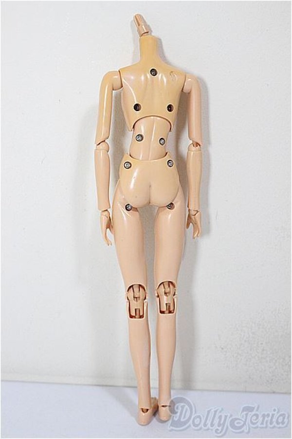 画像2: 約27ｃｍサイズ/女性ボディ/ A-26-02-04-319-NY-ZA (2)