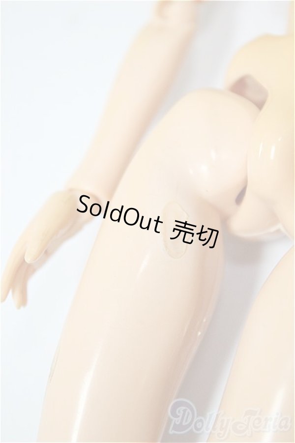 画像3: 約27ｃｍサイズ/女性ボディ/ A-26-02-04-319-NY-ZA (3)