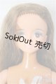 画像: ジェニーフレンド/エリー本体+衣装/BJD　球体関節人形 A-26-02-04-318-NY-ZA