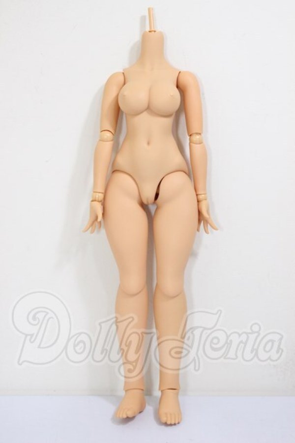 画像1: DOLLBOT/DBCボディ（ワンボディタイプ） A-26-02-18-164-NY-ZA (1)