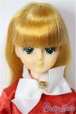 画像1: ジェニー/旧フローラ/BJD　球体関節人形 A-26-02-04-368-NY-ZA (1)