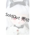 画像: TinyFox/Cassandra/BJD　球体関節人形 A-26-02-04-352-NY-ZA