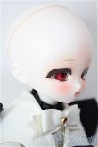 画像3: TinyFox/Cassandra/BJD　球体関節人形 A-26-02-04-352-NY-ZA (3)