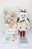 画像9: TinyFox/Cassandra/BJD　球体関節人形 A-26-02-04-352-NY-ZA (9)