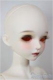 画像2: MYOU DOLL/Delia/BJD　球体関節人形 A-26-02-04-354-NY-ZA (2)