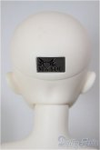 画像4: MYOU DOLL/Delia/BJD　球体関節人形 A-26-02-04-354-NY-ZA (4)