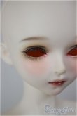 画像7: MYOU DOLL/Delia/BJD　球体関節人形 A-26-02-04-354-NY-ZA (7)