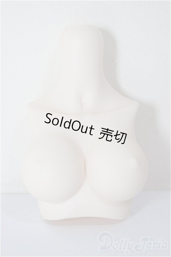 画像1: MDD/上半身パーツ/ A-26-02-04-374-NY-ZA (1)