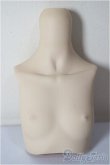画像1: MDD/上半身パーツ A-26-02-11-199-NY-ZA (1)