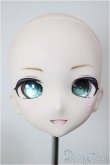 画像1: DD/DDH-10 (カスタマー様)カスタムヘッド/BJD　球体関節人形 A-26-02-04-358-NY-ZA (1)