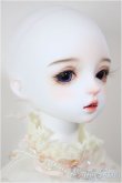 画像3: Charm Doll/Alina/BJD　球体関節人形 A-26-02-04-356-NY-ZA (3)