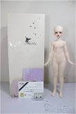 画像7: Asleep Eidolon/Valeria/BJD　球体関節人形 A-26-02-04-357-NY-ZA (7)