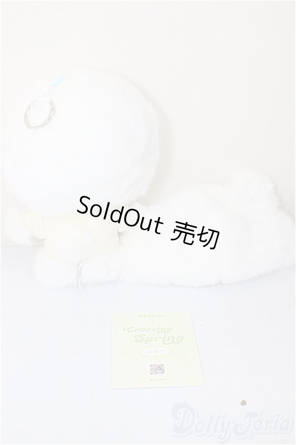 画像3: crossing spring/シロクマ A-26-02-11-118-NY-ZA (3)