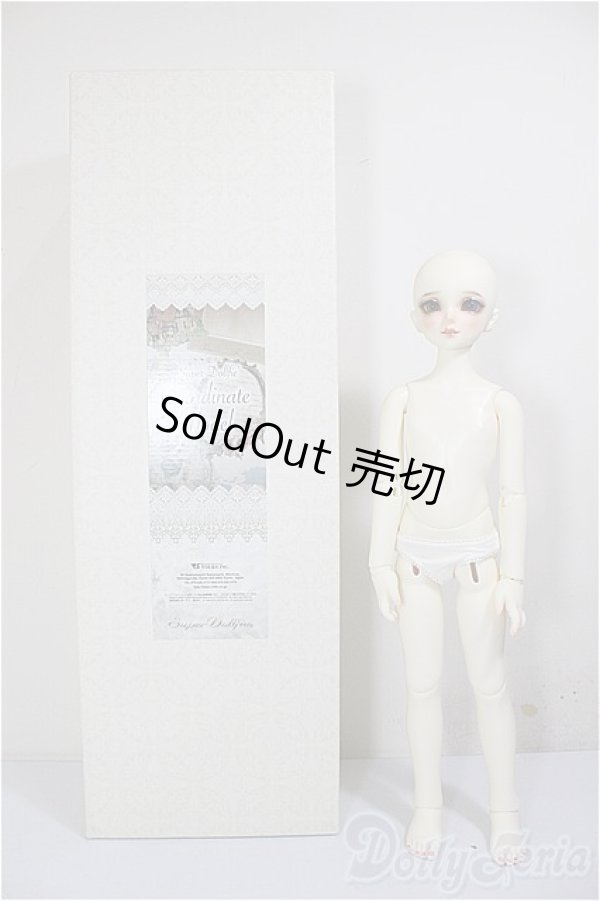 画像8: SDMGIRL/F-45　コーディネートモデル A-26-02-11-203-NY-ZA (8)