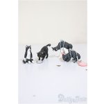 画像: 1/12サイズドール/ミニチュア A-26-02-11-294-WT-ZA