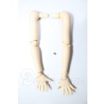 画像: MDD/上下腕パーツ A-26-02-18-136-WT-ZA