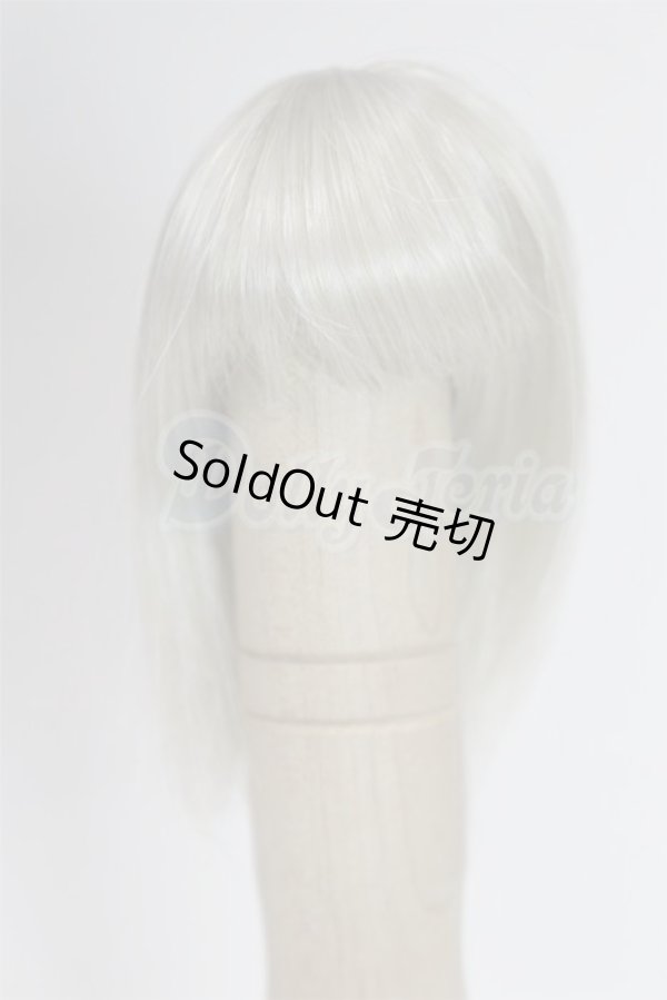 画像1: 4inch/ウィッグ/インチ　BJD　MJD　ドール用 A-26-02-25-096-WT-ZA (1)