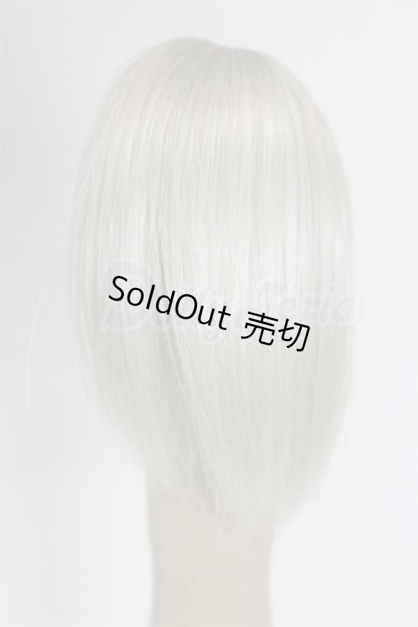 画像2: 4inch/ウィッグ/インチ　BJD　MJD　ドール用 A-26-02-25-096-WT-ZA (2)