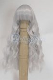 画像1: 4.5inch/ウィッグ/インチ　BJD　MJD　ドール用 A-26-02-25-095-WT-ZA (1)