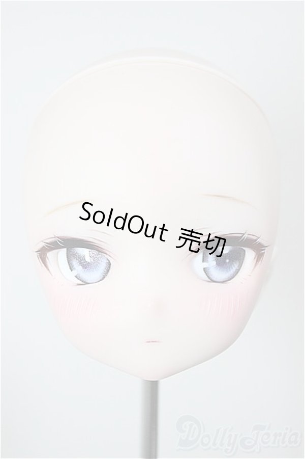 画像1: DD/DDH-27:plusmoon様カスタム A-26-02-11-389-WT-ZA (1)