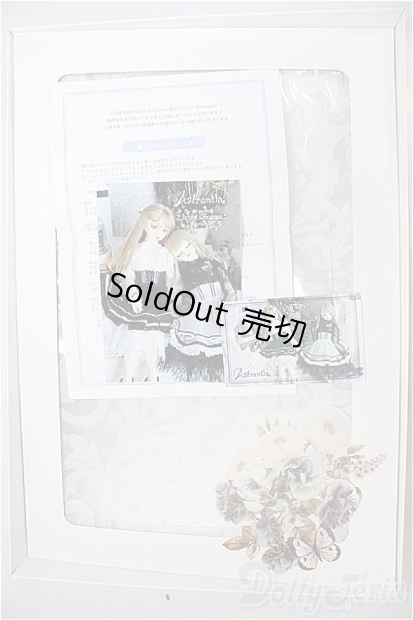 画像3: SD/OF:Astrantia様製 School Like Dress A-26-02-11-381-WT-ZA (3)